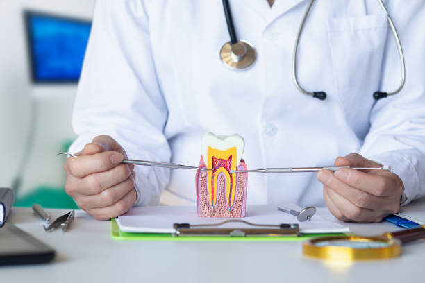 Best Chipped Tooth Repair Near Me  in Clarence, IA